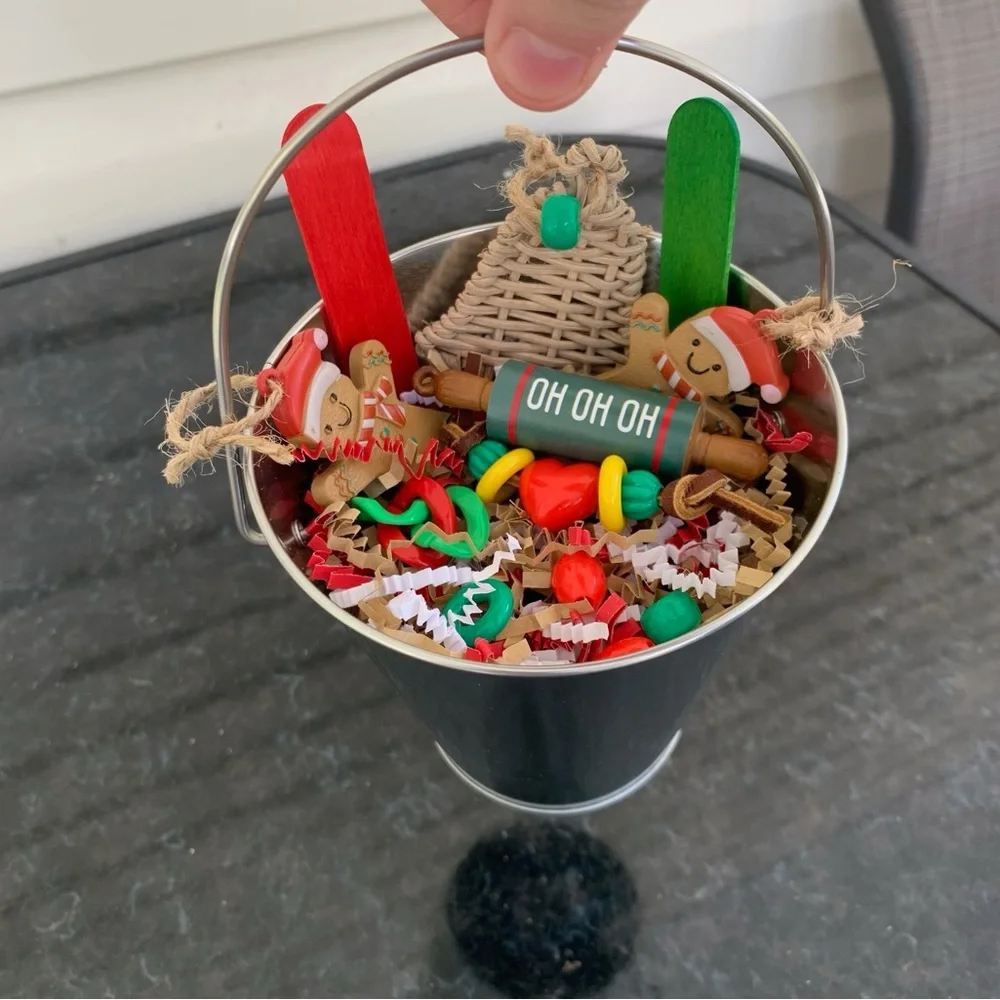 Brrr bucket parrot toy ❄️⛄️